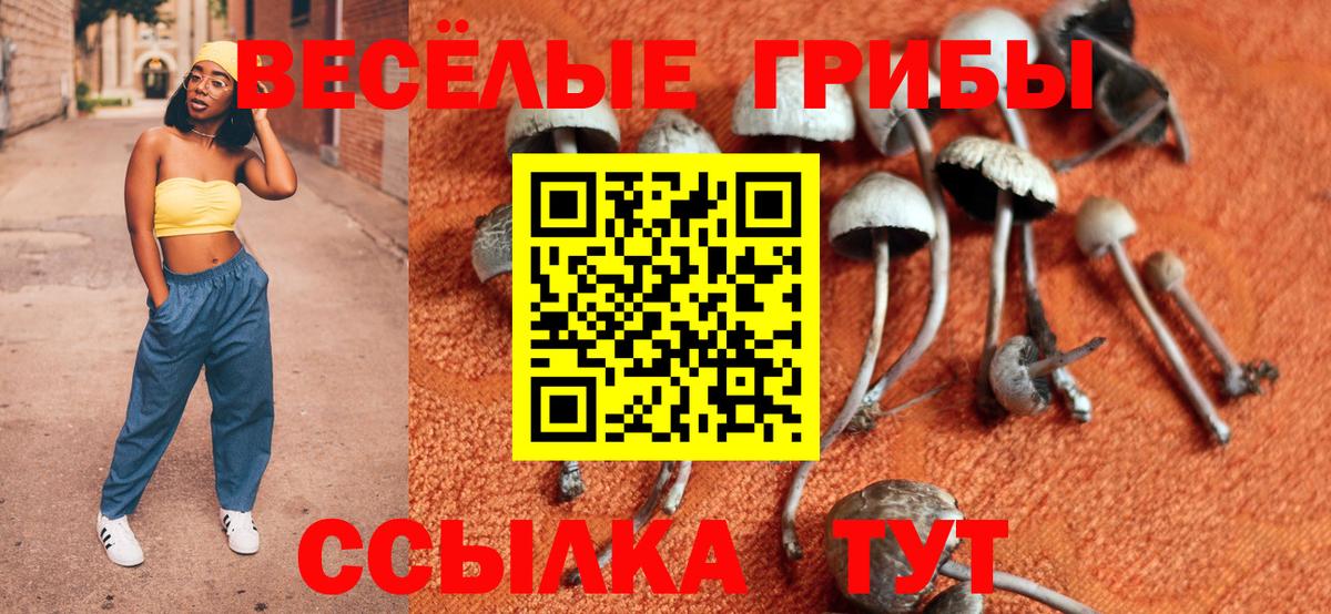 Псилоцибиновые грибы Psilocybine cubensis Оренбург