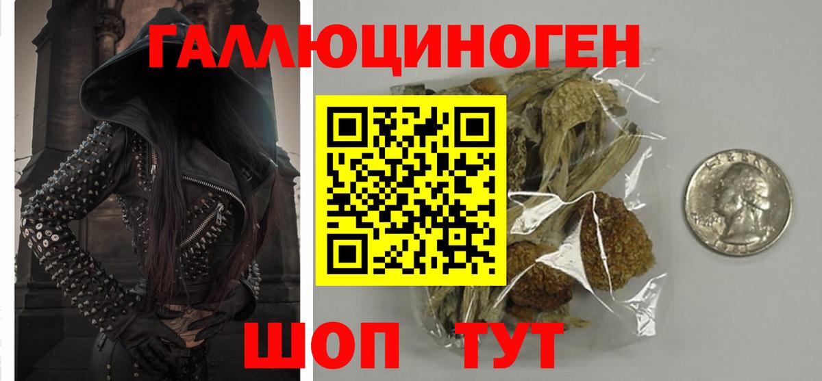 Галлюциногенные грибы мицелий  Вход с VPN  Оренбург 